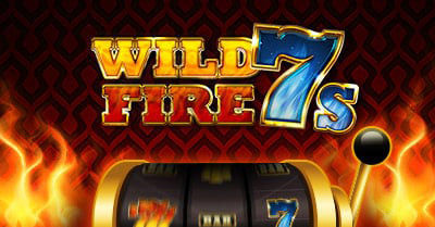 Paradise 8 wild fire 7